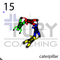 15-CaterpillarTop