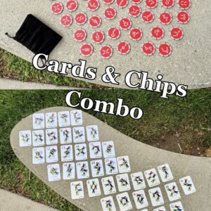 4Way Formation Poker Chips & Flash Cards (combo)