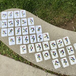 Pocket 4way Flash Cards