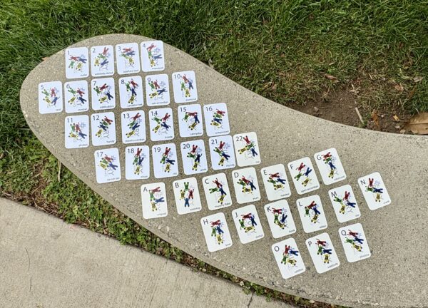 Pocket 4way Flash Cards